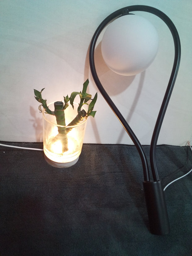 Nordic Bedroom Bedside Led Wall Lamp Golden Personality Home Lighting - ArchCanvas Haven