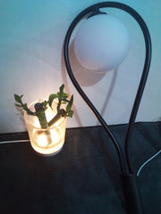 Nordic Bedroom Bedside Led Wall Lamp Golden Personality Home Lighting - ArchCanvas Haven